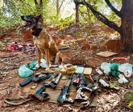 Operação policial desarticula esquema internacional de tráfico com aeronave, armas e drogas